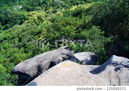 重石錘 大權現 120888231