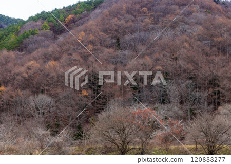Mountain scenery changing from late autumn to early winter 120888277