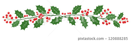 Holly christmas berries cherry branch color illustrations 120888285