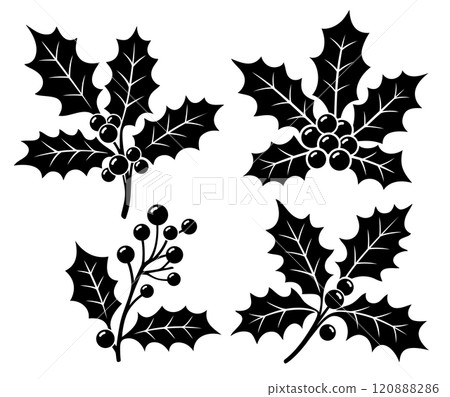 Holly christmas berries cherry silhouette black color Holly christmas berries cherry silhouette black color 120888286
