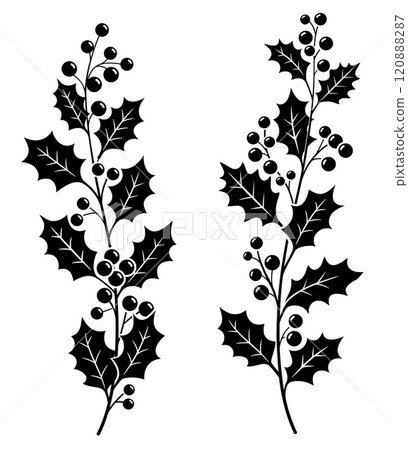 Holly christmas berries cherry branch silhouette black color Holly christmas berries cherry branch silhouette black color 120888287