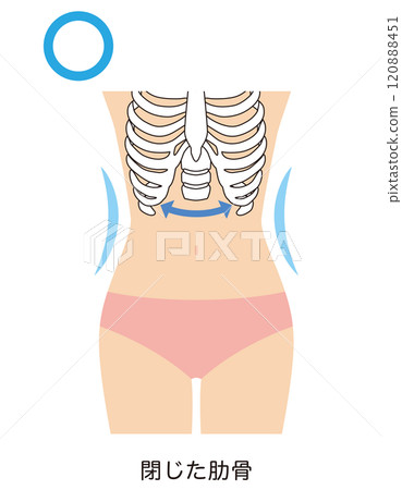 Closed ribs Waist Closed ribs Waist 120888451