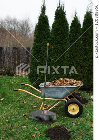 Rake, garden wheelbarrow for seasonal cleaning of fallen leaves in the garden. Rake, garden wheelbarrow for seasonal cleaning of fallen leaves in the garden. 120888956