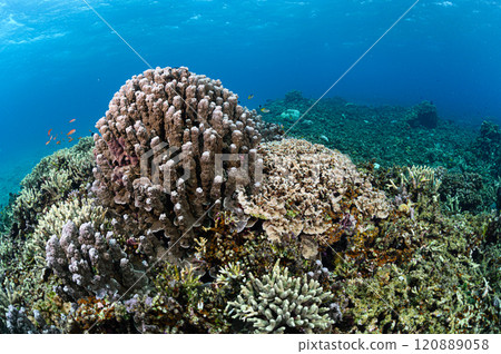 Diving scene in the sea of Iriomote Island 120889058