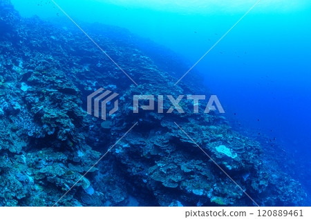 西表島海底潛水風景 120889461