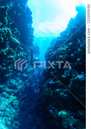 Diving scene in the sea of Iriomote Island Diving scene in the sea of Iriomote Island 120889486