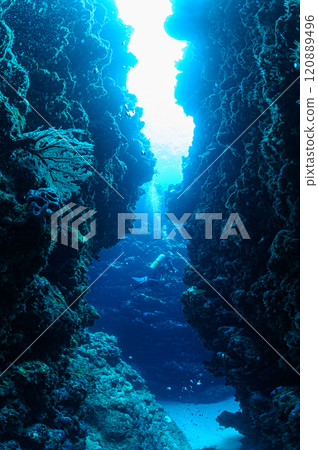 西表島海底潛水風景 120889496