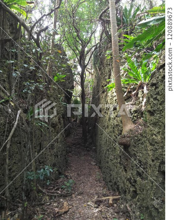 Baribari Rock on Minamidaito Island, Okinawa Prefecture Baribari Rock on Minamidaito Island, Okinawa Prefecture 120889673