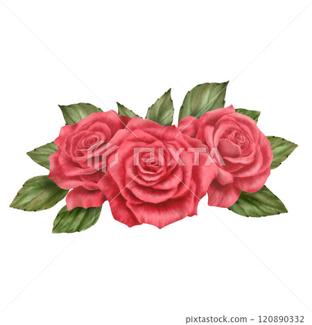 Red roses with leaves in a semicircular arrangement in realistic style in watercolor technique as a symbol of love,passion,desire.Hand-drawn watercolor illustration for Valentine's Day,Woman's day Red roses with leaves in a semicircular arrangement in realistic style in watercolor technique as a symbol of love,passion,desire.Hand-drawn watercolor illustration for Valentine's Day,Woman's day 120890332