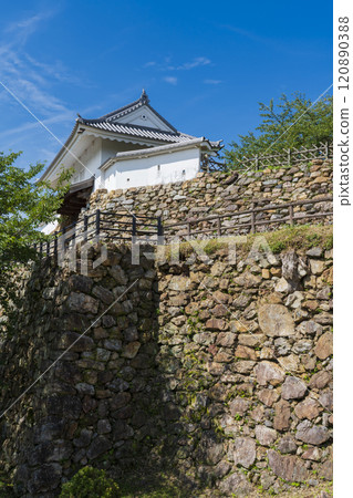 Hamamatsu Castle: The castle of success 120890388