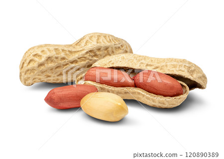 peanuts  120890389