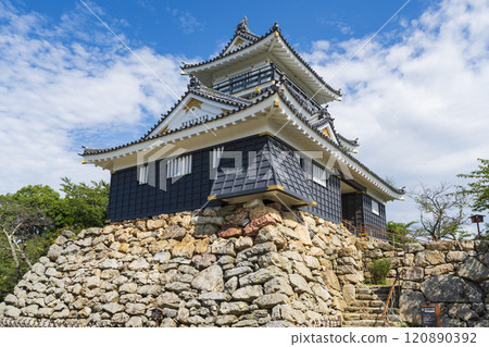 Hamamatsu Castle: The castle of success 120890392