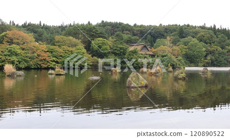 小牧溫泉澀澤公園的浮石池塘 小牧溫泉澀澤公園的浮石池塘 120890522