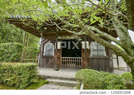 一座被新鮮綠樹環繞的寺廟 一座被新鮮綠樹環繞的寺廟 120891806