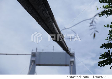 Wires supporting the bridge 120892009