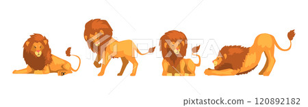 Lion Animal with Majestic Mane in Different Pose Vector Set Lion Animal with Majestic Mane in Different Pose Vector Set 120892182