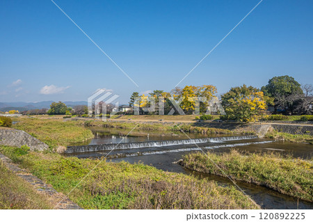 Kamo River (Kamogawa) scenery in early winter, Kyoto City Kamo River (Kamogawa) scenery in early winter, Kyoto City 120892225