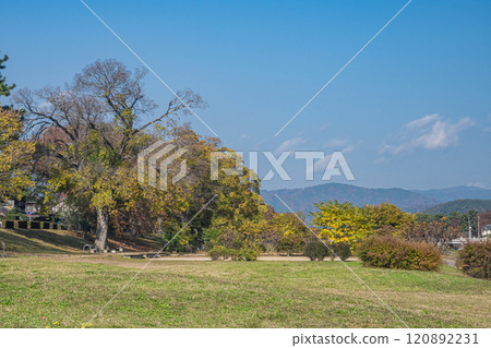 Kamo River (Kamogawa) scenery in early winter, Kyoto City 120892231