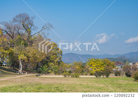 Kamo River (Kamogawa) scenery in early winter, Kyoto City 120892232