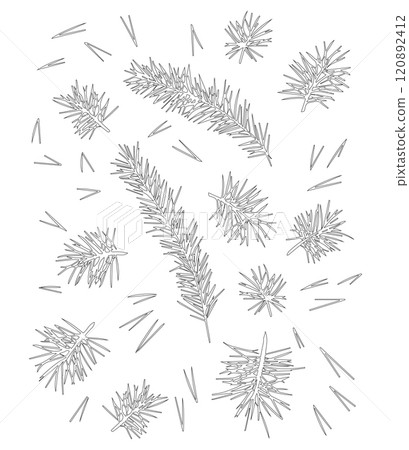 Pine branch with needles, pine needles for winter and Christmas decor. Graphic illustration hand drawn with black ink. Set of isolated objects 120892412