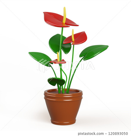 3d anthurium flower in pot for home garden, house or office interior decor. Tropical plant with red blossom, green leaf in flowerpot isolated on white background Realistic render icon. 3D illustration 120893050