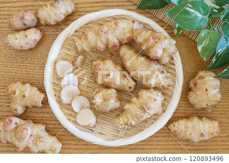 Jerusalem artichoke Jerusalem artichoke 120893496