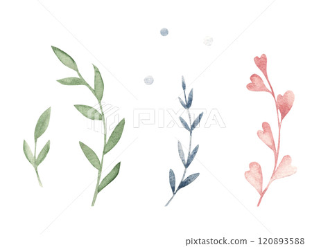 Branches Set in Pastel colors. Hand drawn Watercolor floral illustration isolated on a white background. Design elements for romantic and kids designs, templates, greeting cards and prints. Branches Set in Pastel colors. Hand drawn Watercolor floral illustration isolated on a white background. Design elements for romantic and kids designs, templates, greeting cards and prints. 120893588