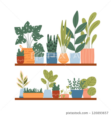 Indoor plants in a pot on a shelf. House plants are on a shelf. Vector illustration.Flat style. Modern plants in pots. 120893657