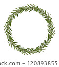 Minimalistic vector illustration of a rosemary wreath, perfect for eco-friendly Christmas decor or sustainable celebrations, featuring natural green leaves in a circular design. 120893855