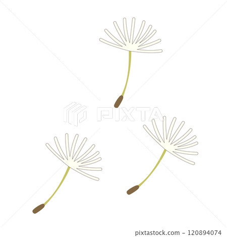 An illustration of dandelion fluff flying away An illustration of dandelion fluff flying away 120894074