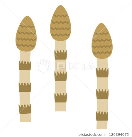 Illustration of horsetail, a plant commonly seen in spring 120894075