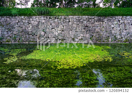 Nijo Castle: North Main Gate and North Moat (Kyoto City, Kyoto Prefecture) 120894132