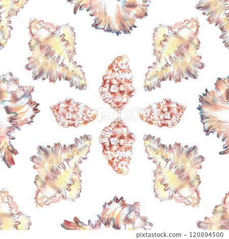 Shell pattern underwater world in watercolor. Murex Endivia, Conch Snail sea shells with different form. Sea snails can be used as a sticker, a printed postcard, poster for a spa salon, spa center 120894500