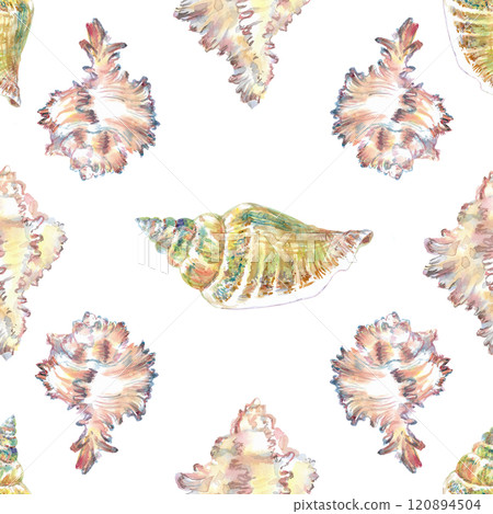 Shell pattern underwater world in watercolor. Murex Endivia, Voluta Virescens, Conch Snail sea shells with different form. Sea snails can be used as a sticker, a printed postcard, poster for a spa 120894504
