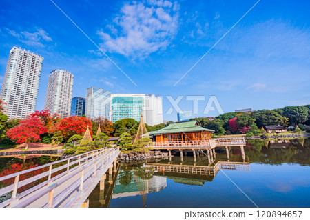 Hama-rikyu Gardens: A relaxing space in Tokyo with beautiful autumn foliage Hama-rikyu Gardens: A relaxing space in Tokyo with beautiful autumn foliage 120894657