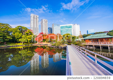 濱離宮恩賜庭園，東京的靜謐空間，秋葉美麗 120894659