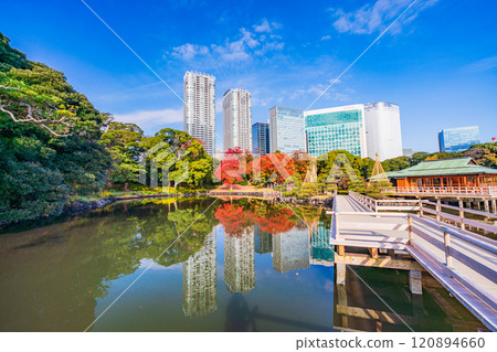Hama-rikyu Gardens: A relaxing space in Tokyo with beautiful autumn foliage 120894660