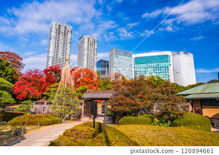 濱離宮恩賜庭園，東京的靜謐空間，秋葉美麗 120894661
