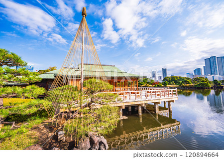 Hama-rikyu Gardens: A relaxing space in Tokyo with beautiful autumn foliage 120894664