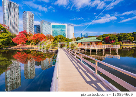 濱離宮恩賜庭園，東京的靜謐空間，秋葉美麗 120894669