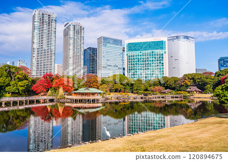 濱離宮恩賜庭園，東京的靜謐空間，秋葉美麗 120894675