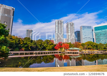 Hama-rikyu Gardens: A relaxing space in Tokyo with beautiful autumn foliage Hama-rikyu Gardens: A relaxing space in Tokyo with beautiful autumn foliage 120894676