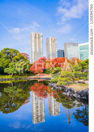 Hama-rikyu Gardens: A relaxing space in Tokyo with beautiful autumn foliage 120894760