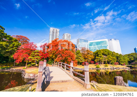 濱離宮恩賜庭園，東京的靜謐空間，秋葉美麗 120894761