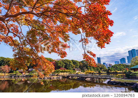 濱離宮恩賜庭園，東京的靜謐空間，秋葉美麗 120894763