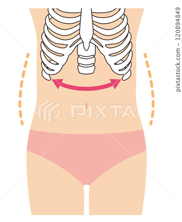 Open ribs, stocky body type 120894849
