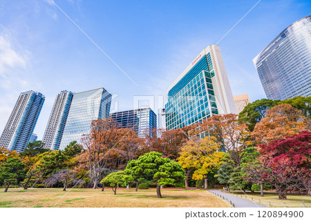 濱離宮恩賜庭園,東京的靜謐空間,秋葉美麗 濱離宮恩賜庭園,東京的靜謐空間,秋葉美麗 120894900