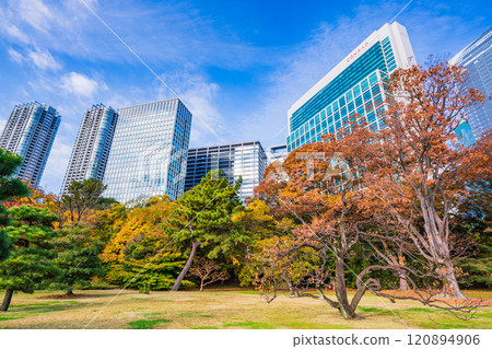 Hama-rikyu Gardens: A relaxing space in Tokyo with beautiful autumn foliage Hama-rikyu Gardens: A relaxing space in Tokyo with beautiful autumn foliage 120894906
