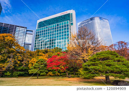 濱離宮恩賜庭園,東京的靜謐空間,秋葉美麗 濱離宮恩賜庭園,東京的靜謐空間,秋葉美麗 120894909