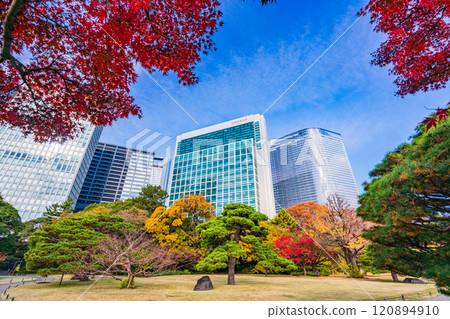 濱離宮恩賜庭園,東京的靜謐空間,秋葉美麗 濱離宮恩賜庭園,東京的靜謐空間,秋葉美麗 120894910